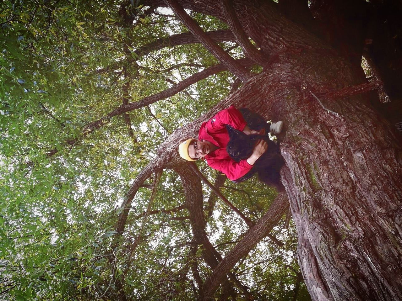 That's me hanging out on a tree with my dog Tingle. I learned that trick from Naruto, the ninja anime.